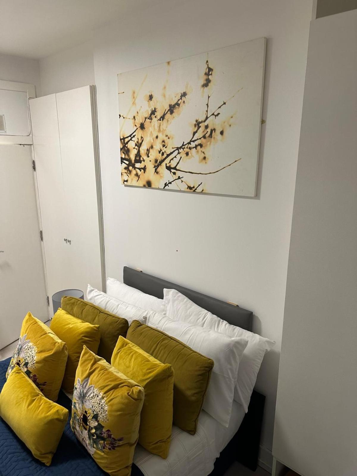 Apartment 1 Bedroom 30 Minutes To St Pancras *
